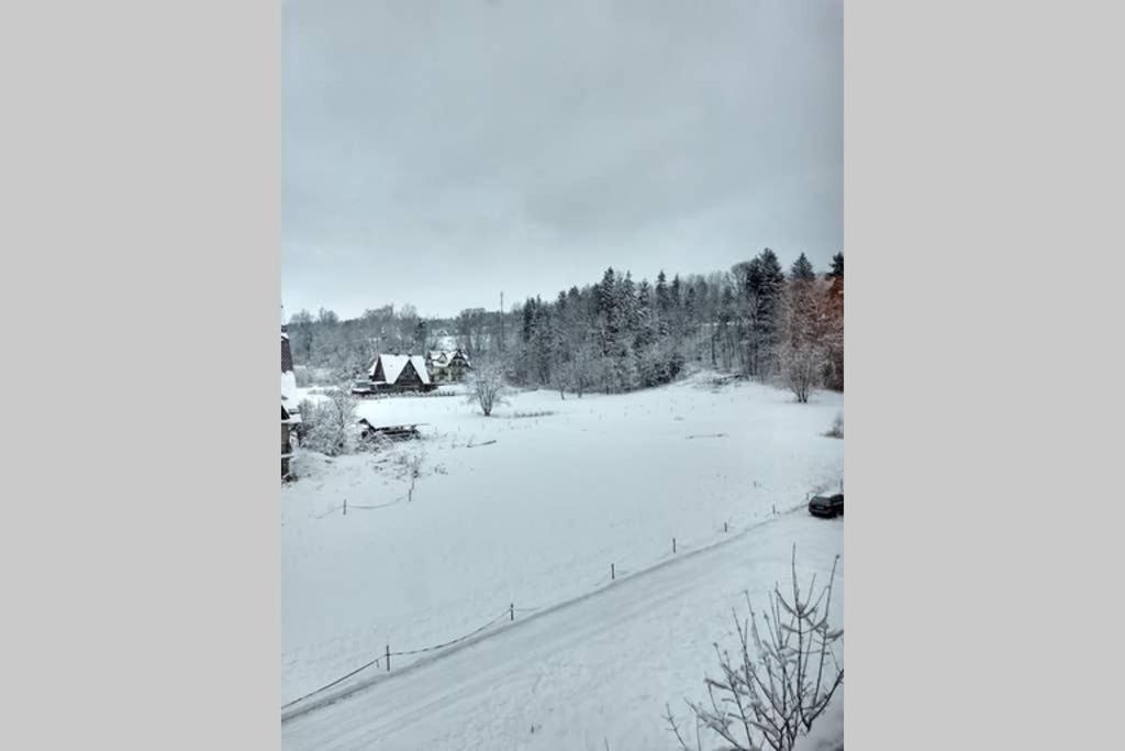 Apartament White Bialy Dunajec Bagian luar foto